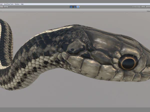 Garter snake - animated 3D Model