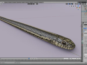 Garter snake - animated 3D Model