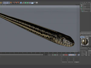Garter snake - animated 3D Model