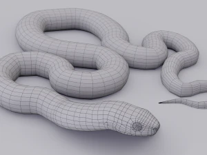Garter snake - animated 3D Model