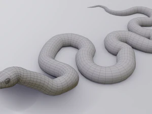 Garter snake - animated 3D Model
