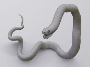 Garter snake - animated 3D Model