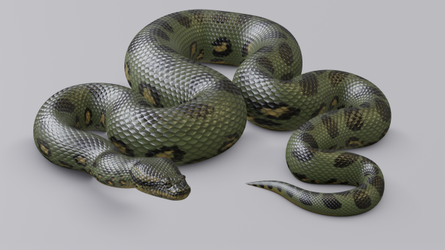 green anaconda - animated 3D Model .c4d .max .obj .3ds .fbx .stl .blend 