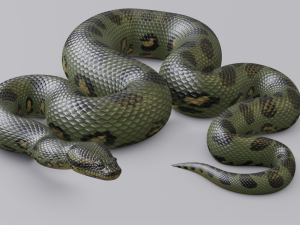 green anaconda - animated 3D Model