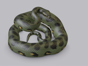 green anaconda - animated 3D Model