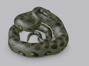 green anaconda - animated 3D Model
