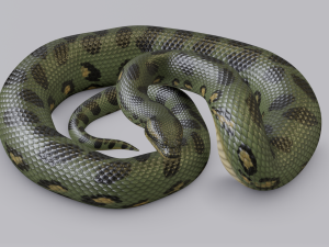 green anaconda - animated 3D Model