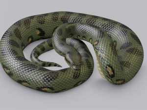 green anaconda - animated 3D Model