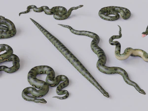 green anaconda - animated 3D Model