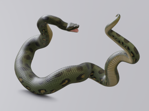 green anaconda - animated 3D Model