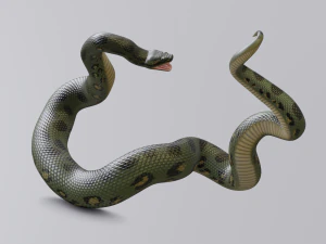 green anaconda - animated 3D Model