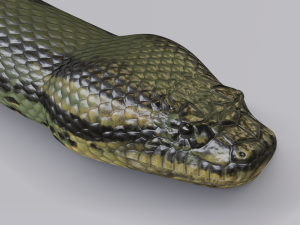 green anaconda - animated 3D Model