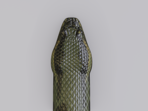 green anaconda - animated 3D Model