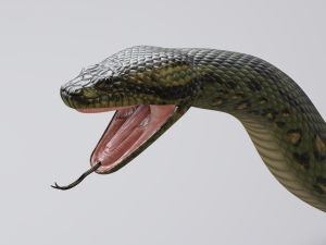 green anaconda - animated 3D Model