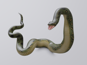 green anaconda - animated 3D Model