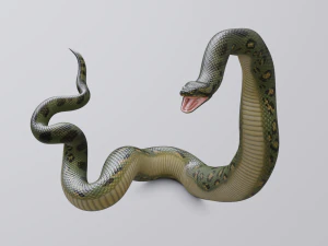 green anaconda - animated 3D Model