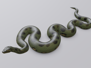 green anaconda - animated 3D Model
