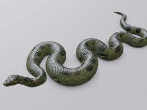 green anaconda - animated 3D Model