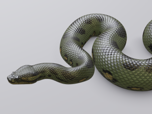 green anaconda - animated 3D Model