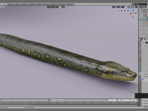 green anaconda - animated 3D Model