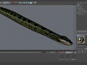 green anaconda - animated 3D Model