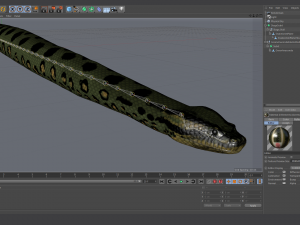 green anaconda - animated 3D Model