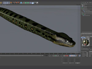 green anaconda - animated 3D Model