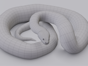 green anaconda - animated 3D Model