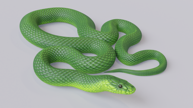 green mamba - animated 3D Model .c4d .max .obj .3ds .fbx .stl .blend 