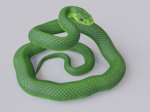 green mamba - animated 3D Model