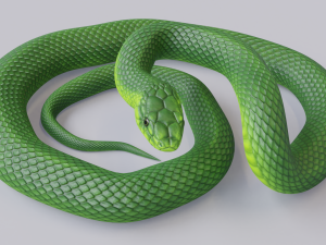 green mamba - animated 3D Model