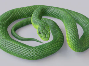 Green mamba - animated 3D Model