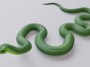 Green mamba - animated 3D Model