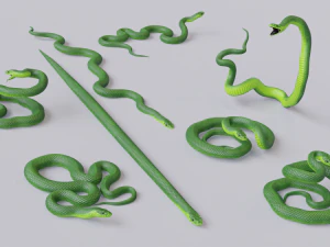 Green mamba - animated 3D Model