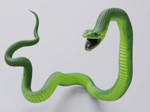 Green mamba - animated 3D Model