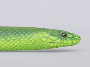 green mamba - animated 3D Model