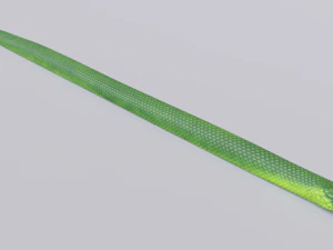 Green mamba - animated 3D Model