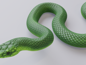 green mamba - animated 3D Model