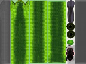 Green mamba - animated 3D Model