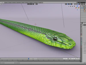 Green mamba - animated 3D Model