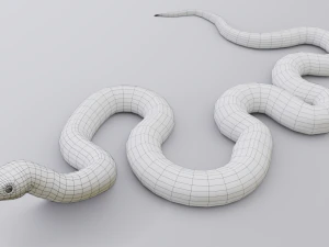 Green mamba - animated 3D Model
