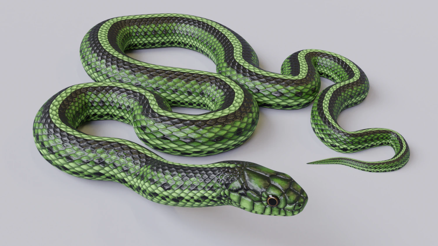 Green snake - animated 3D Model .c4d .max .obj .3ds .fbx .stl .blend 