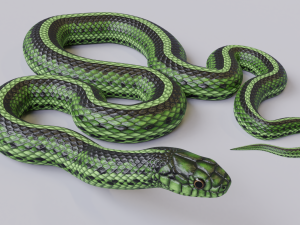 green snake - animated 3D 모델