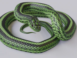 Green snake - animated 3D Model