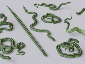green snake - animated 3D Модель