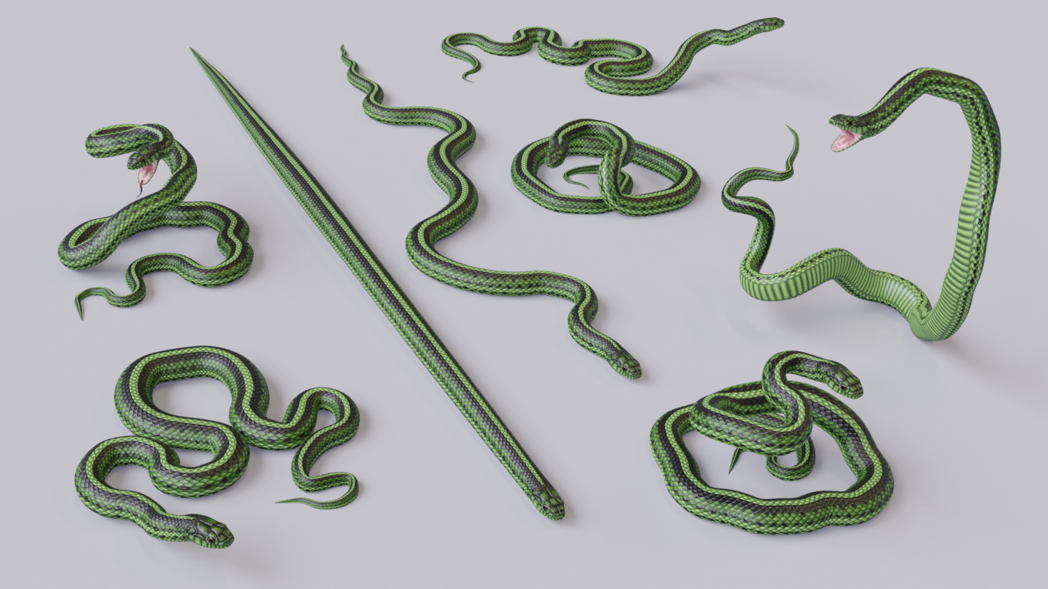 Copperhead snake 3d model. Free download.