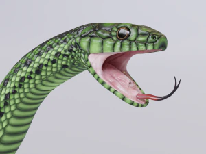 Green snake - animated 3D Model