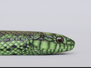 green snake - animated 3D Модель