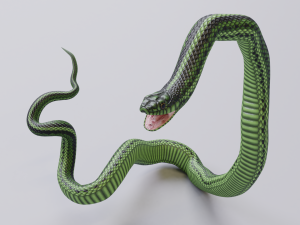 green snake - animated 3D Модель