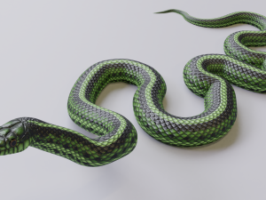 green snake - animated 3D Модель